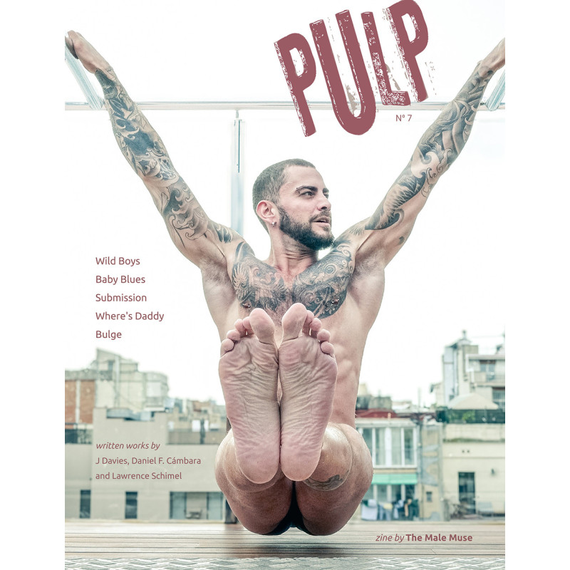 The Male Muse Livre photo PULP n°7